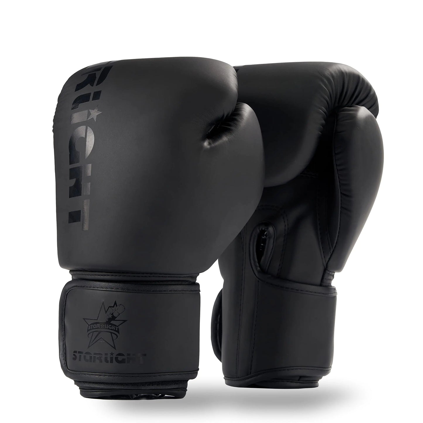 Premium Boxing gloves